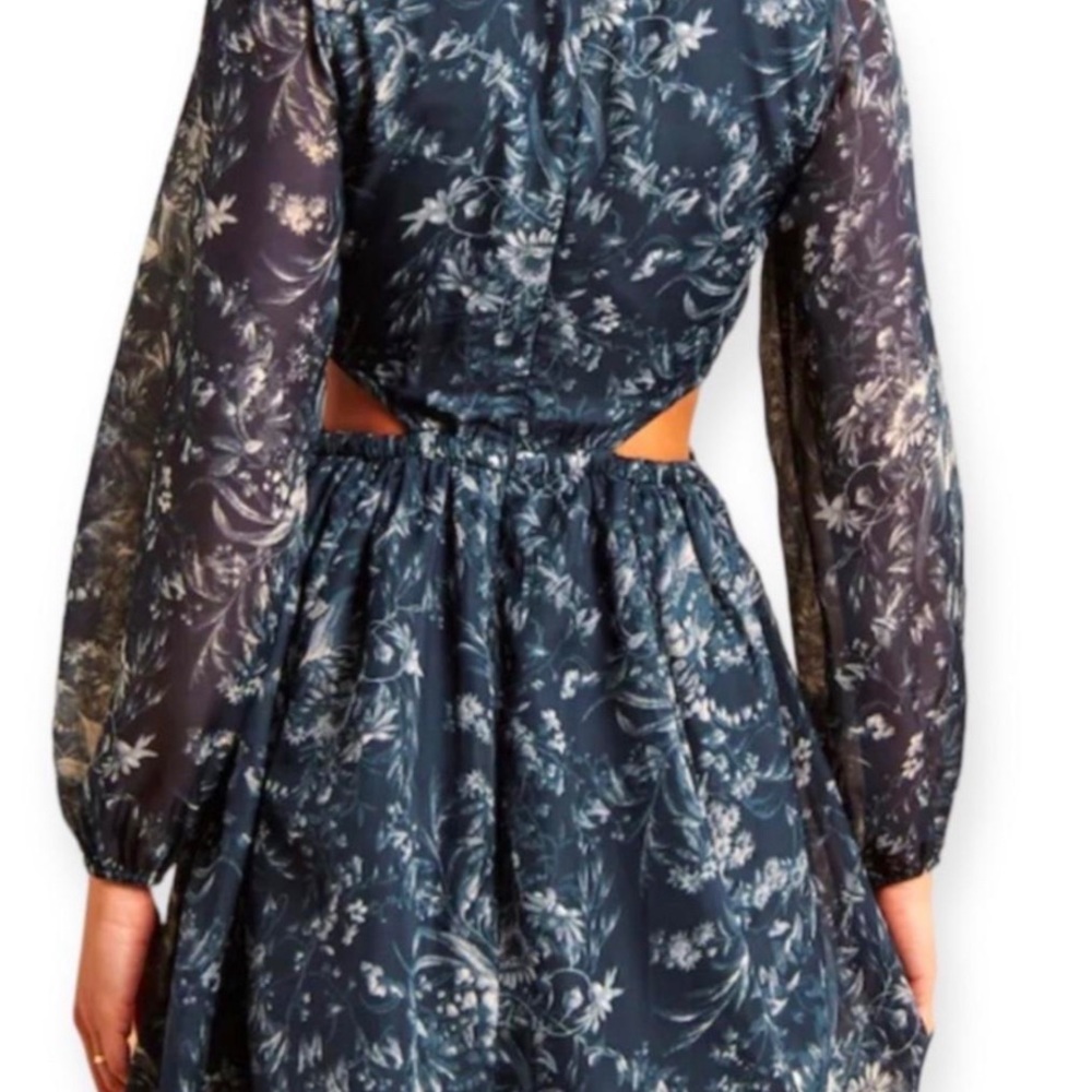 Abercrombie & Fitch Blue Floral Dress - Picture 4 of 12